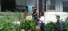 Evaluaciones 01