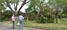 Zanjón del Burro 05
