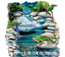 7 Ríos Fest, amor puro por las cuencas hídricas de Cali 
