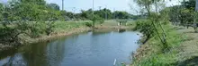 Humedal Isaías Duarte Cancino