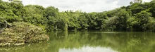 Ecoparque Lago de las Garzas