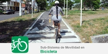 01_ bici
