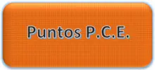 PuntPCE 03