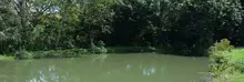 Cañasgordas 2