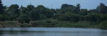 Charco azul 2