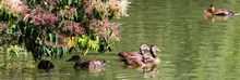 ecoparque garzas 6