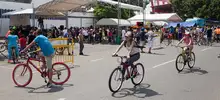 Ciclovida 01