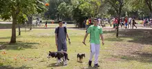 Ciclovida 17