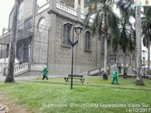 Templete 04