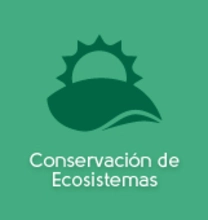 Conservación de Ecosistemas