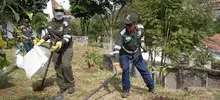 Con una jornada de limpieza y siembra de Guayacanes, se inició el programa Reforestemos nuestro barrio en Santa Teresita