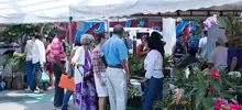 Así se vivió el primer Mercado Agroecológico