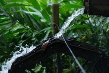 Dagma le rindió tributo al agua