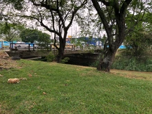 El parque lineal Río Cali un espacio lleno de bondades