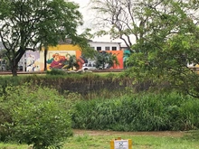 El parque lineal Río Cali un espacio lleno de bondades