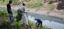 De Siembra en Siembra