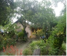 Rural 2