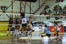 SoySelCal 07