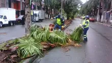 Uaespm garantiza óptima prestación de servicio de aseo por temporada de lluvias