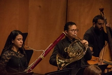 El Corno será el protagonista de la Orquesta  Filarmónica de Cali