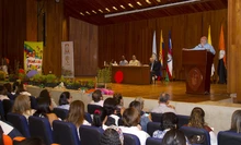 Expertos reflexionan sobre el juego y la niñez