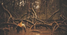 Una piangüera que destierra recuerdos y fantasmas en un manglar