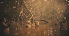 Una piangüera que destierra recuerdos y fantasmas en un manglar