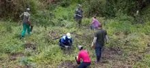 Jornada de restauración en el Ecoparque Cerro de la Bandera 1