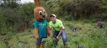 Jornada de restauración en el Ecoparque Cerro de la Bandera 3