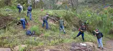 Jornada de restauración en el Ecoparque Cerro de la Bandera 4