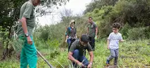 Jornada de restauración en el Ecoparque Cerro de la Bandera 5