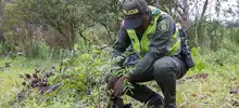 Jornada de restauración en el Ecoparque Cerro de la Bandera 6