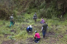 Jornada de restauración en el Ecoparque Cerro de la Bandera 12