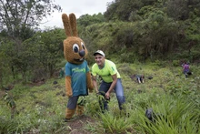 Jornada de restauración en el Ecoparque Cerro de la Bandera 14