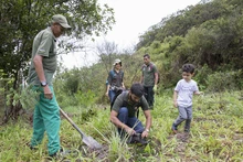 Jornada de restauración en el Ecoparque Cerro de la Bandera 16