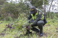 Jornada de restauración en el Ecoparque Cerro de la Bandera 17
