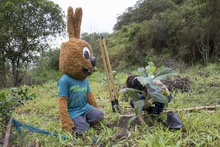 Jornada de restauración en el Ecoparque Cerro de la Bandera 18