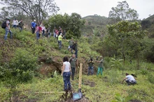 Jornada de restauración en el Ecoparque Cerro de la Bandera 19