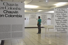 Exposiciones Reflexiones y Guillaume Chauvin en Colombie