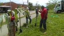 Unidad de Control de Invasiones realizó intervención en cinturón ecológico de Aguablanca