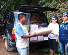 Gestión del Riesgo sigue evaluando afectaciones por lluvias en zona rural