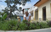 La nueva Alameda de Siloé: seguridad, movilidad y oportunidades sociales para la comuna 20