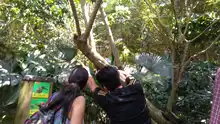 El Zoológico de Cali recibió una visita muy especial