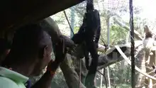 El Zoológico de Cali recibió una visita muy especial