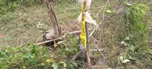Contundente golpe de las autoridades contra invasores en reserva forestal del río Cali