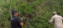 Contundente golpe de las autoridades contra invasores en reserva forestal del río Cali