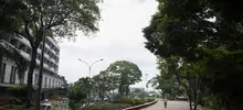 Se instalan postes del alumbrado público en el parque lineal Río Cali