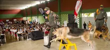 Al Liceo Departamental llegará la brigada informativa, cultural y de servicios, este viernes 22 de junio
