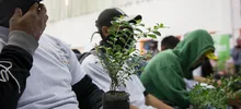Reducción de homicidios 09