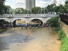 Diez kilómetros de la ribera del río Cali fueron intervenidos por la Unidad de Control de Invasiones y Protección de Ecosistemas 